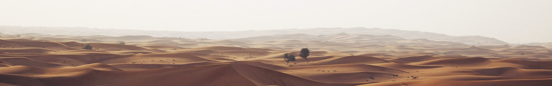 žܿƼ޹˾